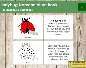 Ladybug Printables Etsy