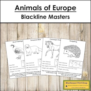 Animals of Europe Fakten & Bildkarten (Blackline Meister) - Montessori Zoologie - Druckbare Montessori Karten - Digital Download