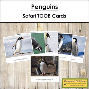 Penguins Safari TOOB Cards - Montessori 3-Part Cards (Digital Download)