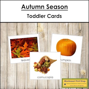 Cartes de saison d'automne - matériaux Montessori imprimables pour tout-petits - téléchargement numérique