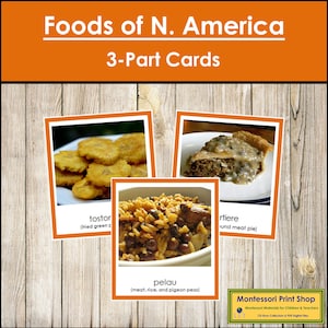 Aliments d'Amérique du Nord (code couleur) - Cartes Montessori Continent - Géographie - Cartes Montessori imprimables - Téléchargement numérique