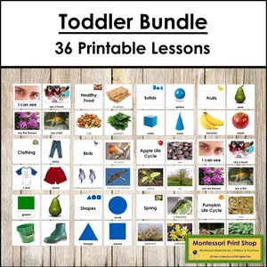 Bundle de cartes et de livres Montessori pour tout-petits - cartes Montessori imprimables - téléchargement numérique