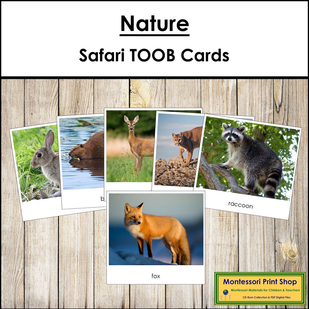 Nature Safari TOOB Cards - Montessori 3-part Cards (digital Download ...