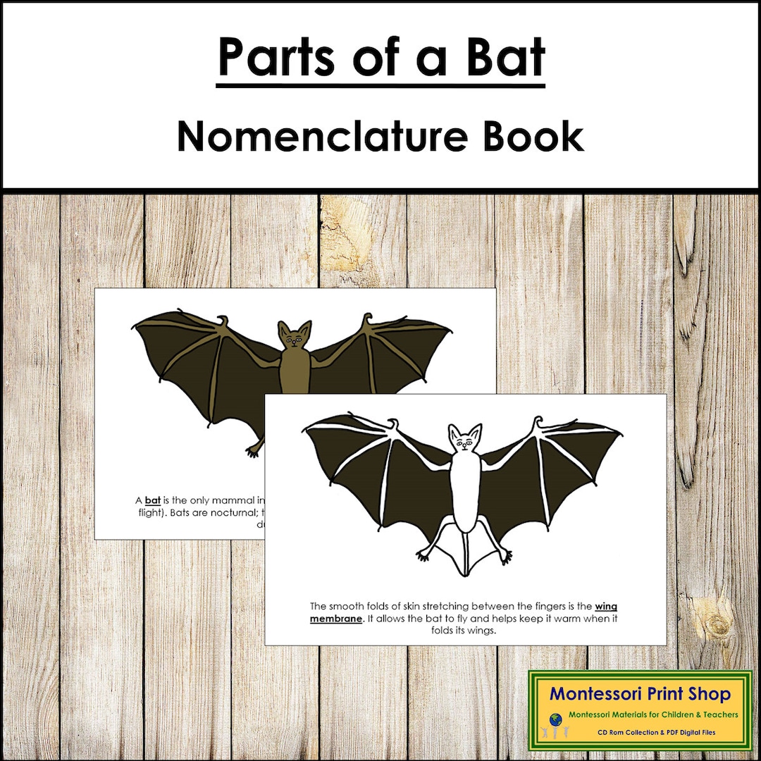 Parts of a Bat Nomenclature Book Montessori Zoology Printable