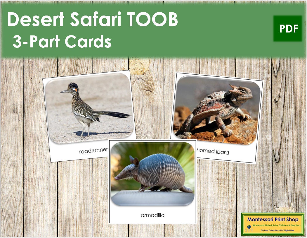 Desert Animals - Etsy Australia Desert Animals - Etsy Australia