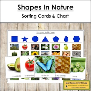 Shapes In Nature-sorteerkaarten en controlekaart - Montessori-geometrie en wetenschap - Afdrukbare Montessorikaarten - Digitale download