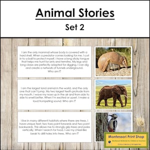 Animal Stories Set 2 - Zoology - Printable Montessori Cards - Digital Download