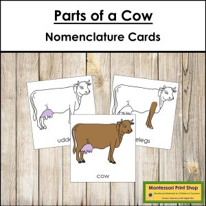 Partes de una nomenclatura de vaca Tarjetas de 3 partes - Zoología Montessori - Materiales Montessori imprimibles - Descarga digital