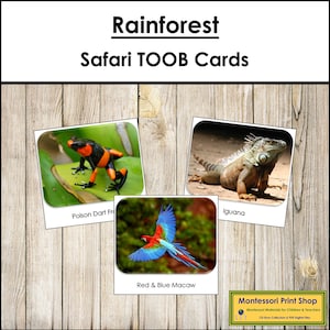 Tarjetas TOOB Rainforest Safari - Tarjetas Montessori imprimibles - Descarga digital