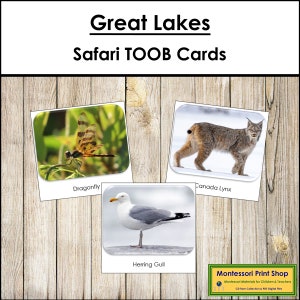 Carte TOOB Great Lakes Safari - Carte Montessori stampabili - Download digitale