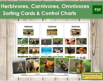 Herbivores Carnivores and Omnivores Sorting Cards & Control - Etsy Herbivores Carnivores and Omnivores Sorting Cards & Control - Etsy