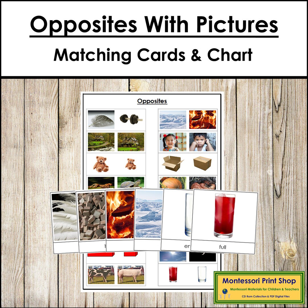 Opposites Matching Cards and Control Chart antonyms Montessori Language