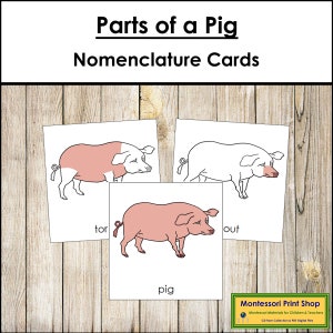 Schede in 3 parti con la nomenclatura delle parti del maiale - Zoologia Montessori - Materiali Montessori stampabili - Download digitale
