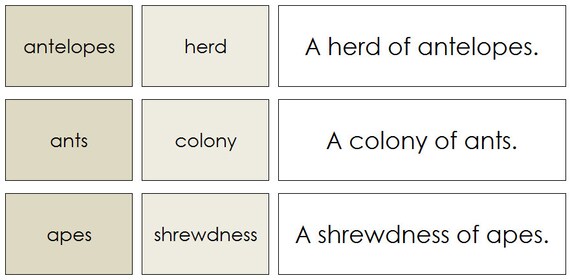Animals and Their Groups color Zoology Printable - Etsy Animals and Their Groups color Zoology Printable - Etsy