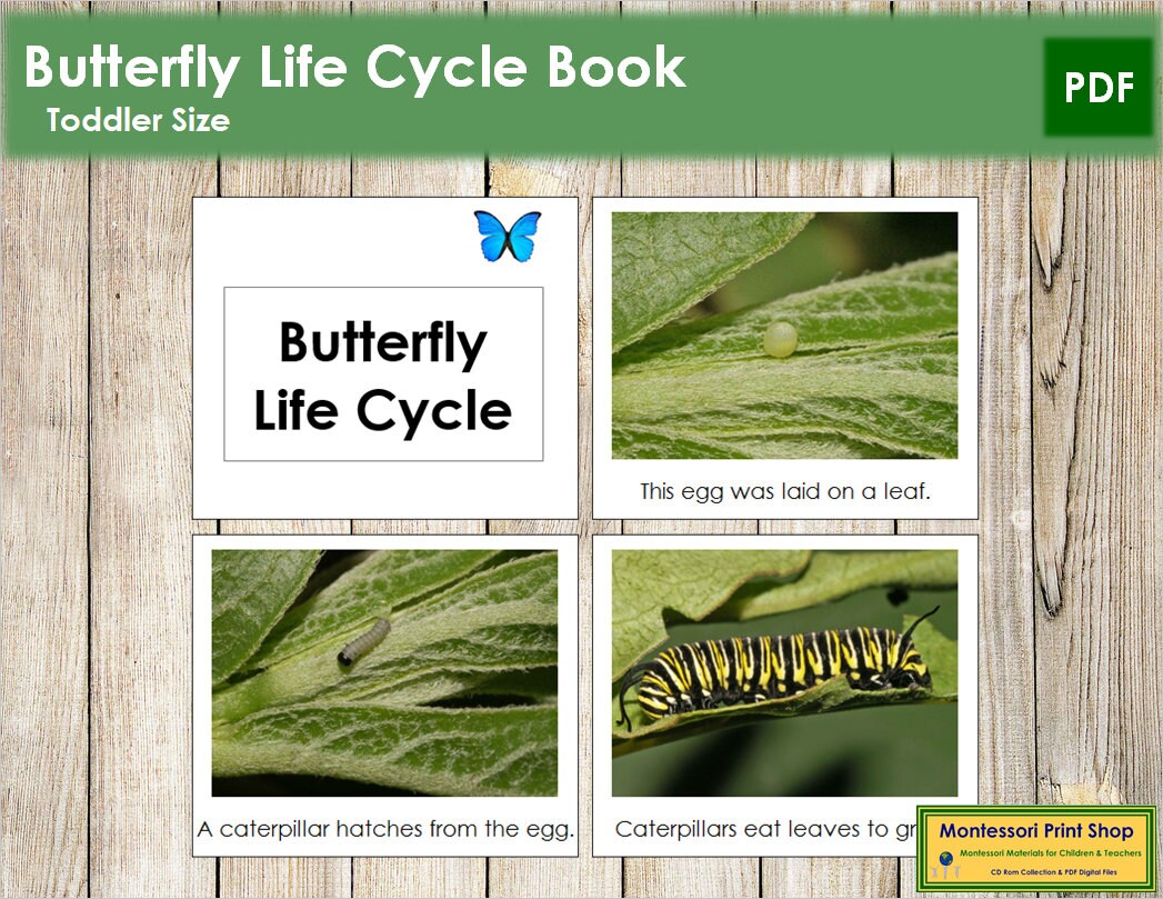 Butterfly Life Cycle Book Printable Toddler Montessori Etsy