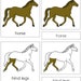 Parts of a Horse Nomenclature 3-part Cards - Montessori Zoology ...