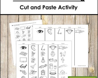 Los cinco sentidos: Clasificación, cortar y pegar [Blackline Masters] - Actividad científica Montessori (Descarga digital)