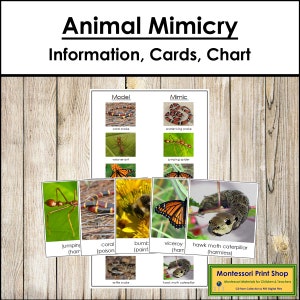 Mimétisme animal - Science - cartes Montessori imprimables - téléchargement numérique