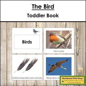 Libro sugli uccelli - Materiali Montessori stampabili per bambini piccoli - Download digitale