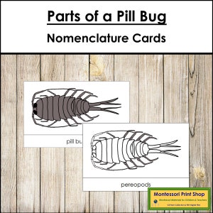 Parts of a Pill Bug Nomenclature 3-Part Cards - Montessori Zoology - Printable Montessori Materials - Digital Download
