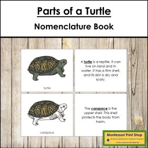 Parts of a Turtle Nomenclature Book - Montessori Zoology - Printable Montessori Materials - Digital Download
