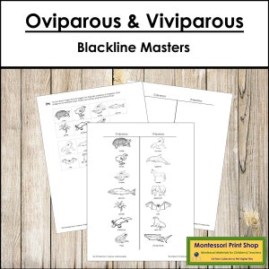 Animales ovíparos y vivíparos (Maestros de línea negra) - Zoología - Tarjetas Montessori imprimibles - Descarga digital