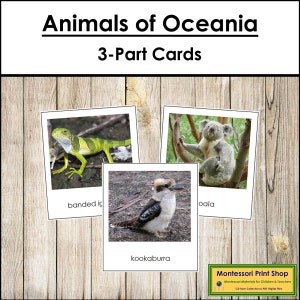 Animais da Austrália/Oceania - Cartões Continentais Montessori - Geografia - Cartões Montessori para Imprimir - Download Digital