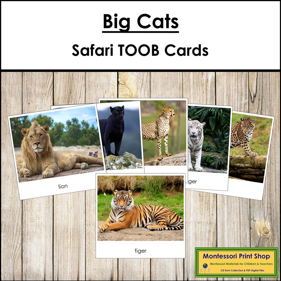 Big Cats Safari TOOB Cards - Montessori 3-part Cards (digital Download ...