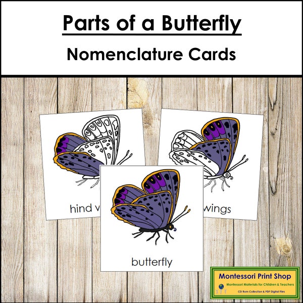 Parts of a Butterfly Nomenclature 3-Part Cards - Montessori Zoology - Printable Montessori Materials - Digital Download