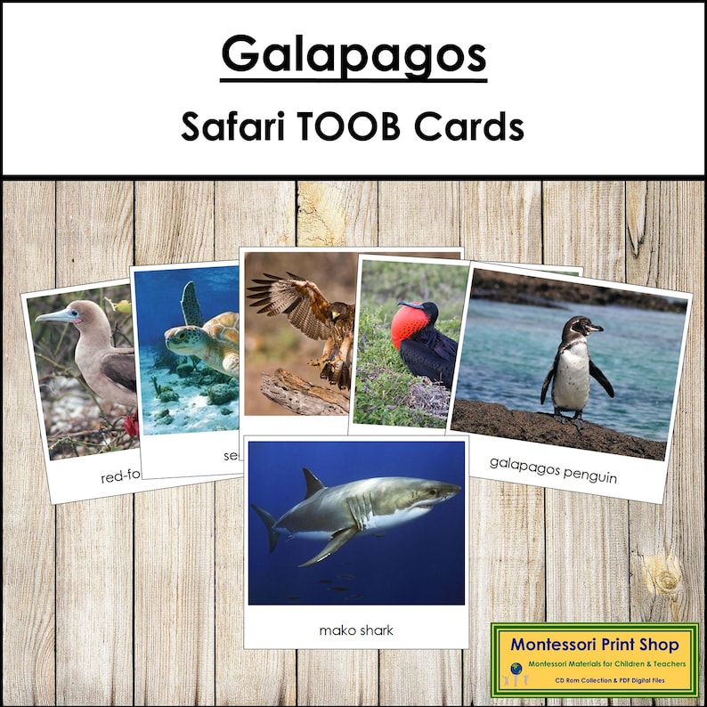 Galapagos Safari TOOB Cards - Montessori 3-part Cards (digital Download ...