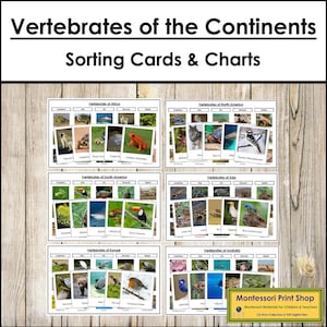 Vertebrati dei continenti - Zoologia Montessori - Schede Montessori stampabili - Download digitale