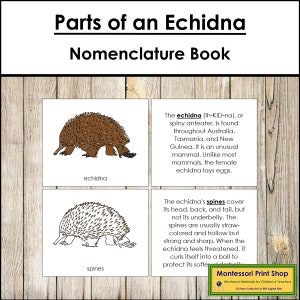 Parti di un libro di nomenclatura di un echidna - Zoologia Montessori - Materiali Montessori stampabili - Download digitale