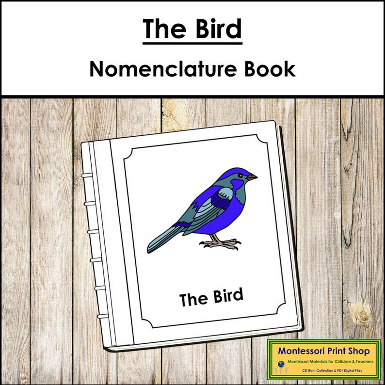 Parts of a Bird Nomenclature Book - Montessori Zoology (digital ...