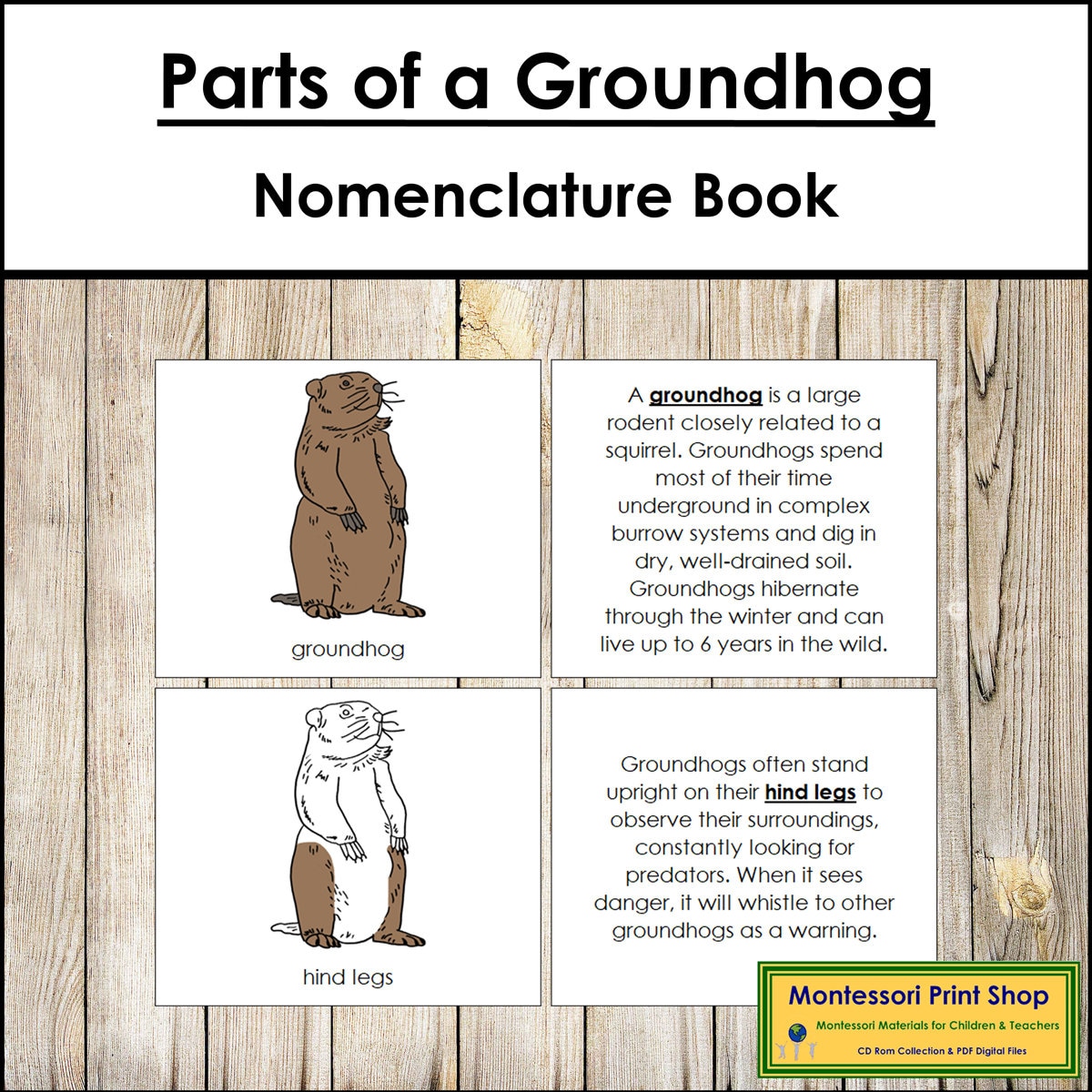 保育　教科書 Amazon.co.jp: いちばんわかりやすい保育士合格テキスト[下巻