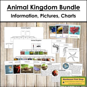 Pacchetto Animal Kingdom (bordi colorati) - Zoologia Montessori - Carte Montessori stampabili - Download digitale