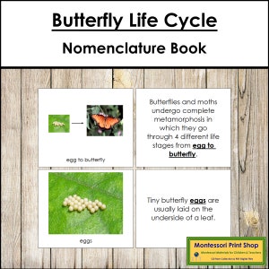 The Butterfly Life Cycle Book - Montessori-nomenclatuur - Afdrukbare Montessori-materialen - Digitale download