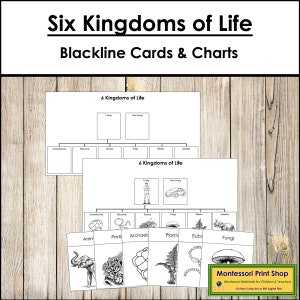 Seis Reinos da Vida Gráficos e Cartões (Blackline Masters) - Cartões de Ciência Montessori para Imprimir - Download Digital