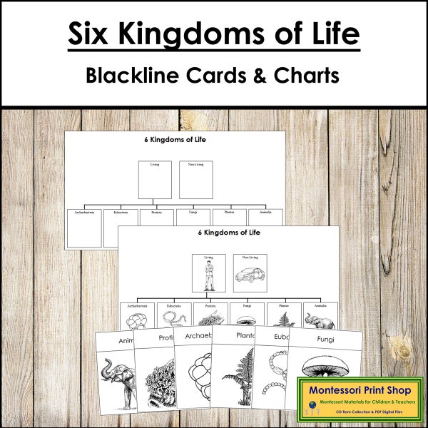 Six Kingdoms of Life Charts & Cards (Blackline Masters) - Printable Montessori Science Cards - Digital Download