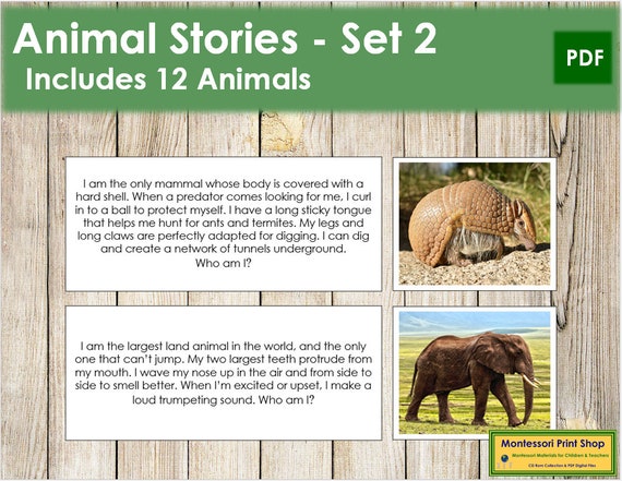 Animal Stories Set 2 Zoology Printable Montessori Cards - Etsy Singapore Animal Stories Set 2 Zoology Printable Montessori Cards - Etsy Singapore