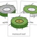 Parts of a Monocot Root Nomenclature 3-part Cards Botany Printable ...