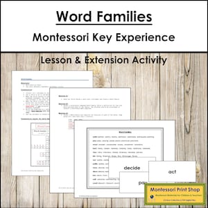 Word Families Key Experience - Elementary Montessori Language & Grammar - Printable Montessori Cards - Digital Download