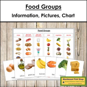 Food Groups Sorting Cards & Chart - Montessori Nutrition Activity (Digital Download)