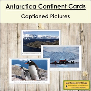 Cartes du continent de l'Antarctique (code couleur) - géographie Montessori - cartes Montessori imprimables - téléchargement numérique