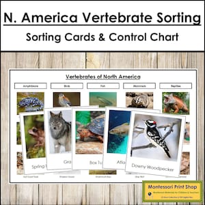 Tarjetas de clasificación de vertebrados de Norteamérica y tabla de control - Zoología Montessori - Tarjetas Montessori imprimibles - Descarga digital