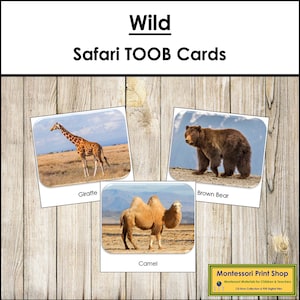 Wild Safari TOOB Karten - Printable Montessori Karten - Digitaler Download