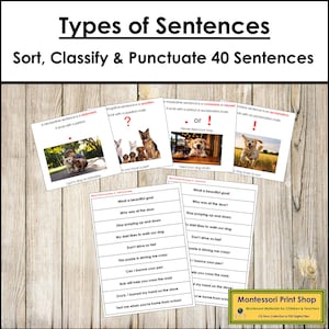 Types de phrases - Langue et grammaire Montessori - Cartes Montessori imprimables - Téléchargement numérique
