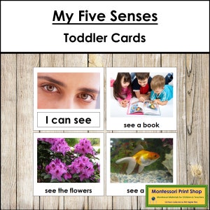 Mes cinq sens - cartes Montessori imprimables pour tout-petits - téléchargement numérique