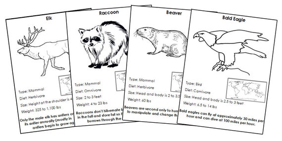 Animals of North America Facts & Picture Cards blackline - Etsy Sweden Animals of North America Facts & Picture Cards blackline - Etsy Sweden