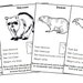 Animals of North America Facts &amp; Picture Cards blackline Master ...