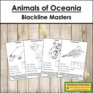 Animali dell'Australia/Oceania Fatti e carte illustrate (Blackline Masters) - Zoologia Montessori - Carte Montessori stampabili - Download digitale